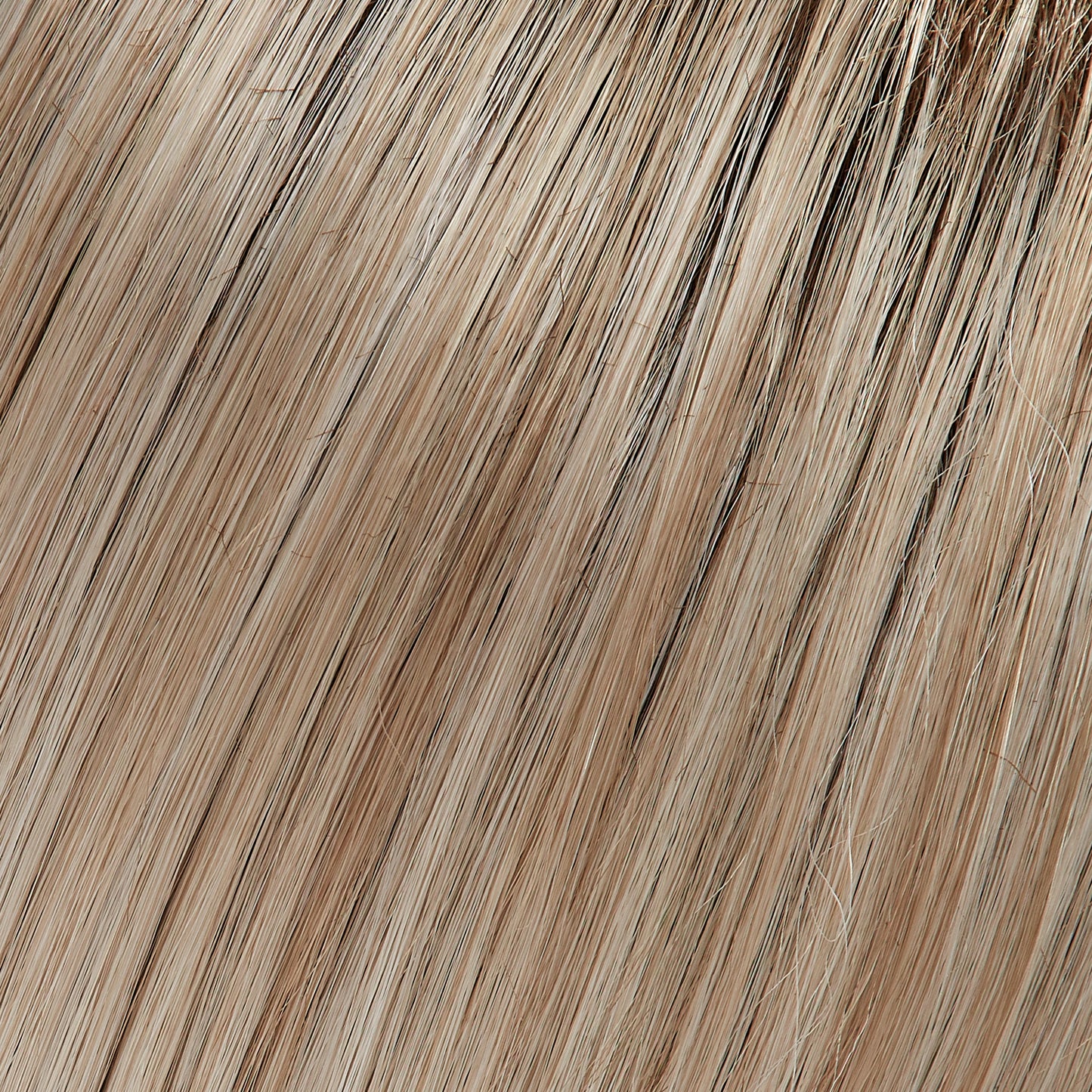 Angie - Renau Exclusive Colors