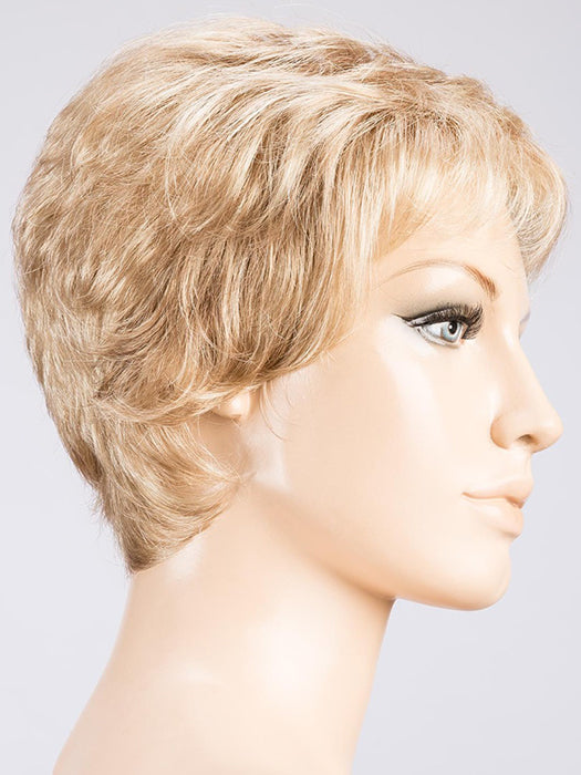 CHAMPAGNE MIX 25.22.26 | Light Neutral Blond and Lightest Golden Blonde blend with Light Gold Golden Blonde