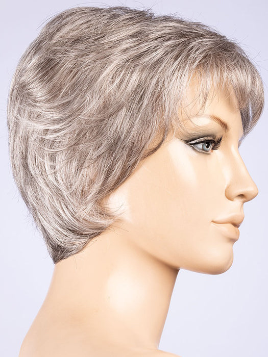 DARK SNOW MIX 56.48.58 | Dark/Lightest Brown and Lightest Blonde blended with a Grey Blend